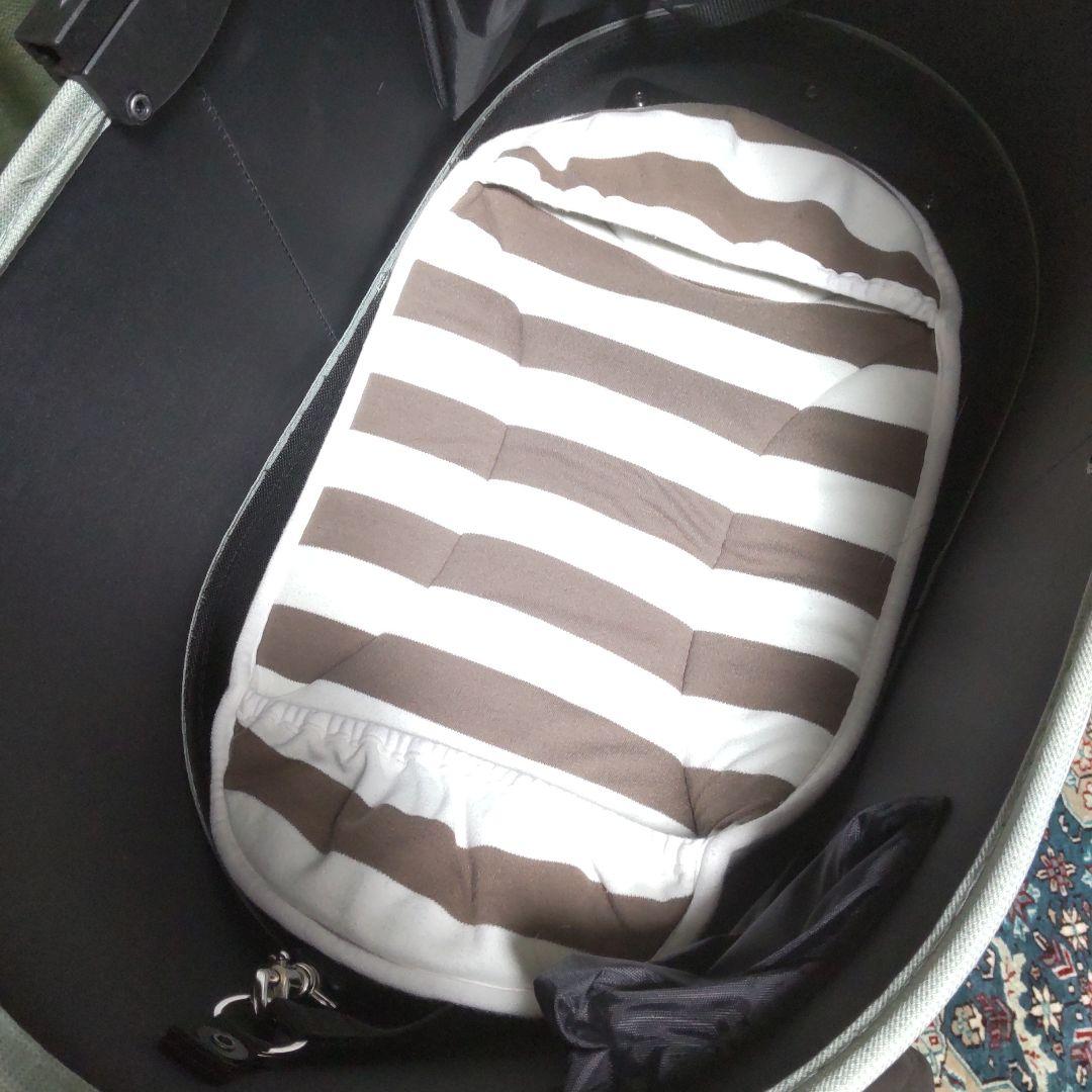 AIRBUGGY ココプレミア ドーム3グラスグリーン(レギュラー)①