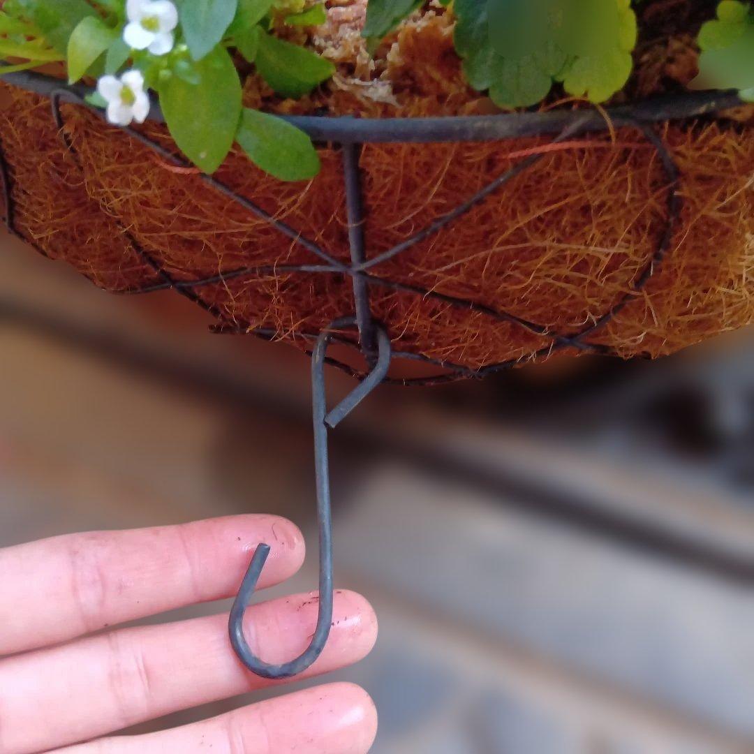 葉牡丹　シクラメン等　寄せ植え　直径約34cmハンギングリース　140サイズ発送