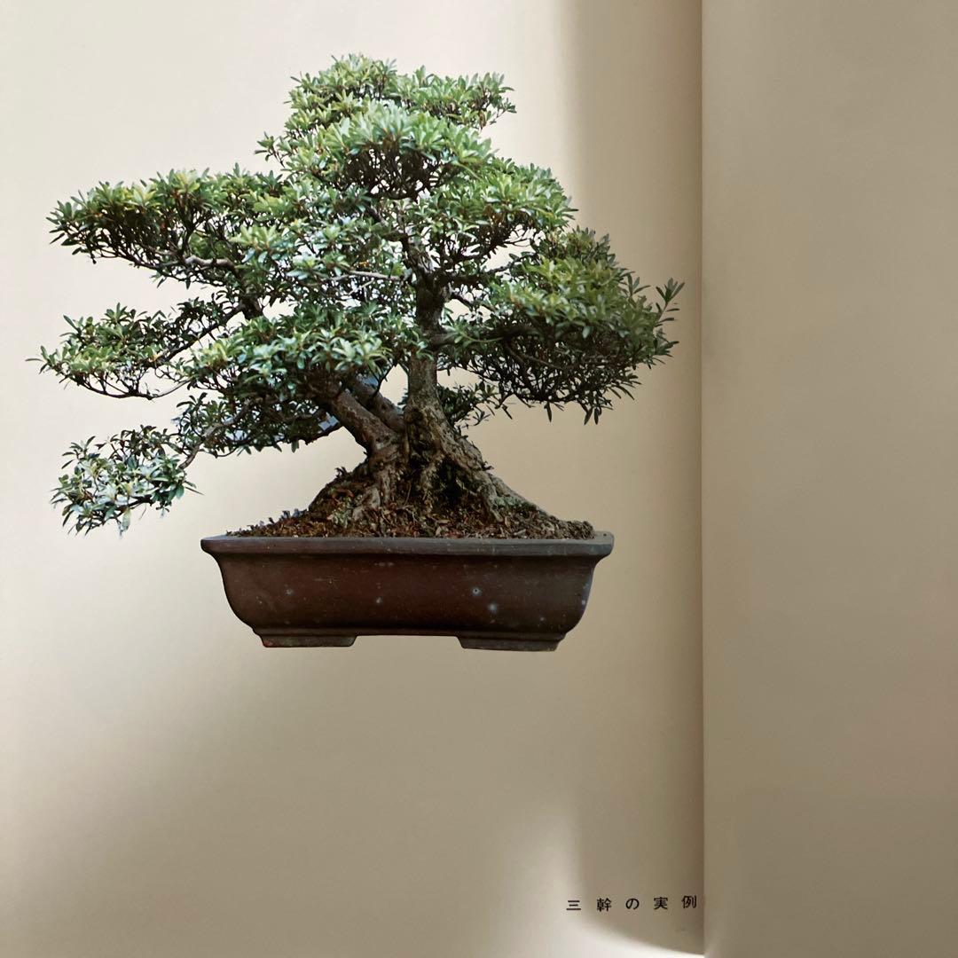 高等教範　盆栽の基本樹形　上下巻　中津千吉