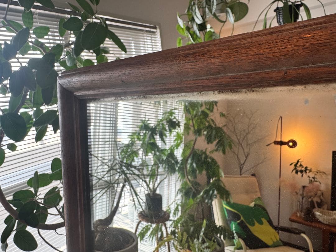 カンサイジン　ライトイヤーズ　lightyears フランスアンティーク