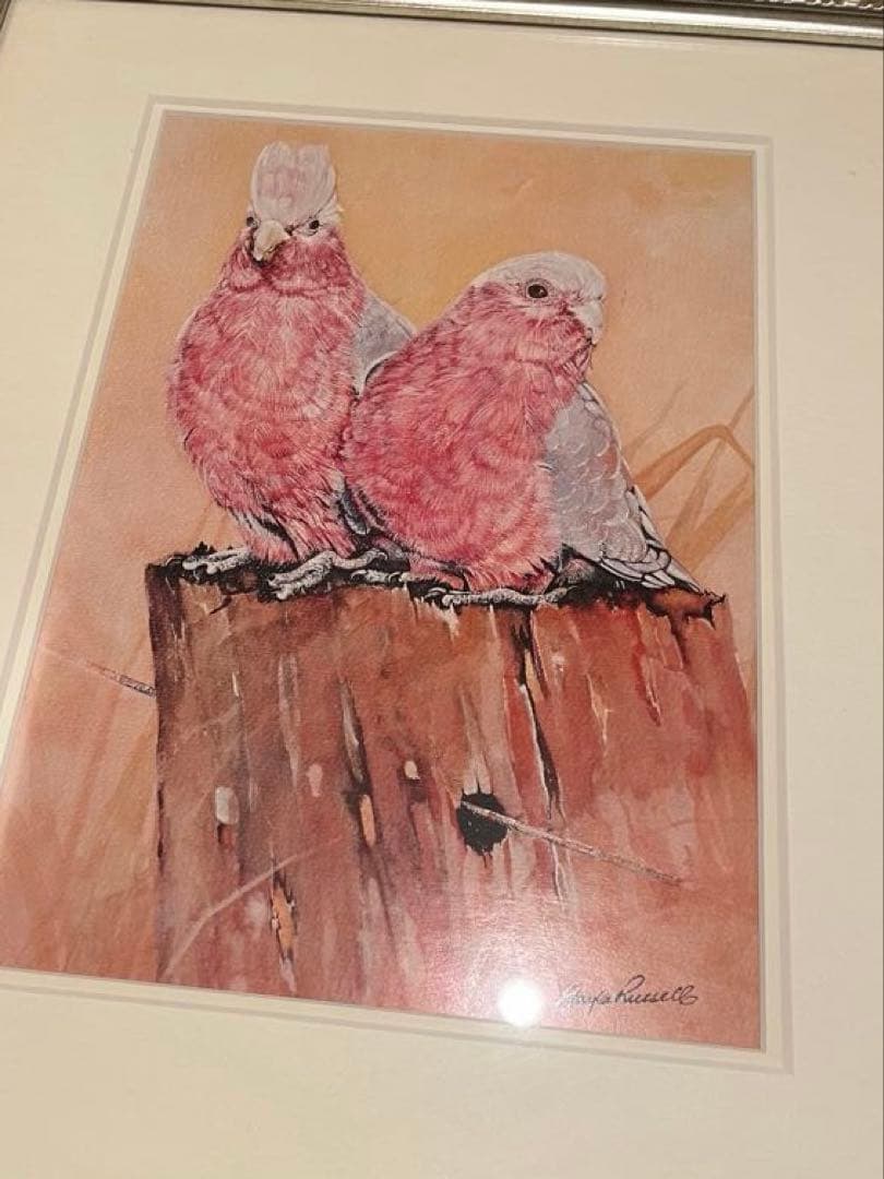 モモイロインコ、テンニョインコの絵画セット