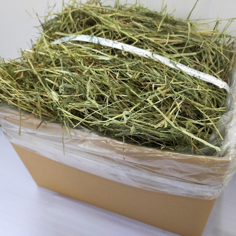 【12/30まで】US産 チモシー 50kg ２番刈り ソフトSプレミアム