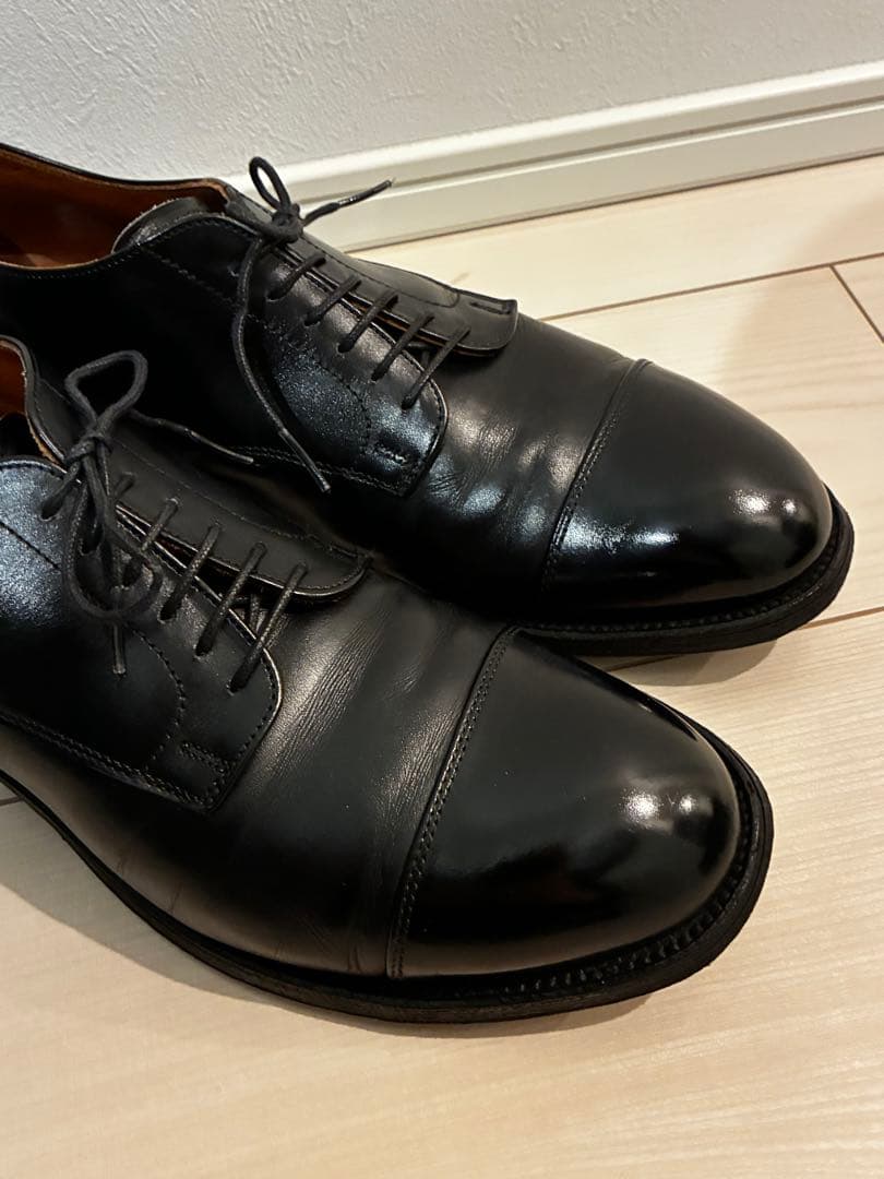 9D ALDEN 558 オールデン キャップトゥ カーフ ストレートチップ