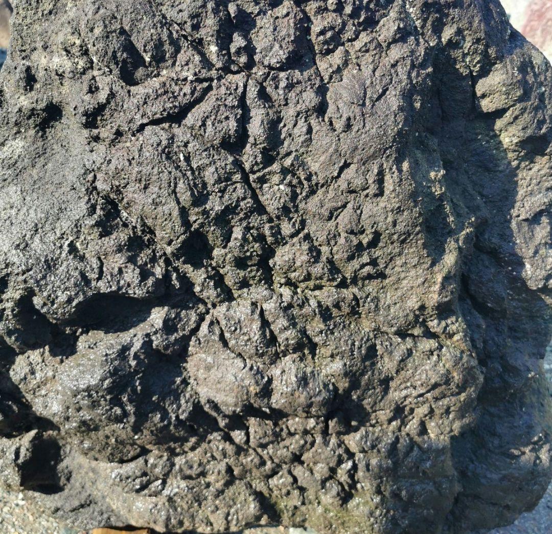 浅間溶岩石　215キロ　庭石　石　石材 庭　坪庭　ガーデニング