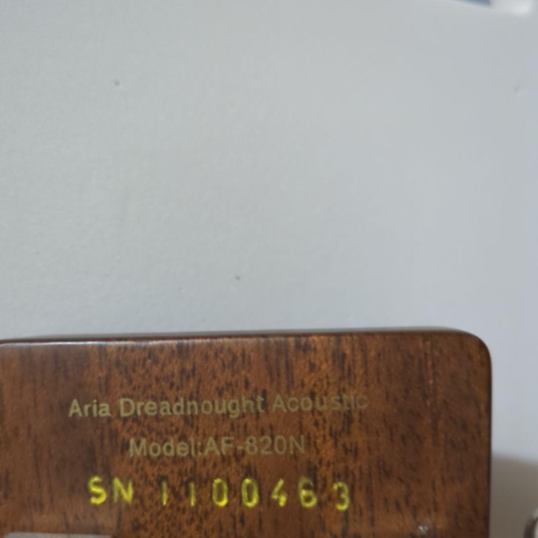 アコースティックギター ギターケース付き ARIA