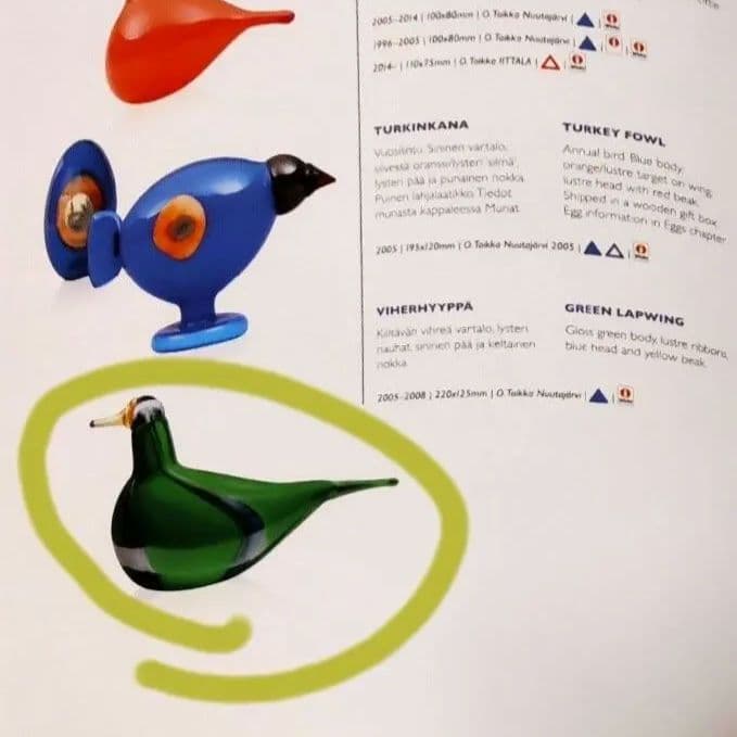 オイバトイッカ　Green Lapwing イッタラバード