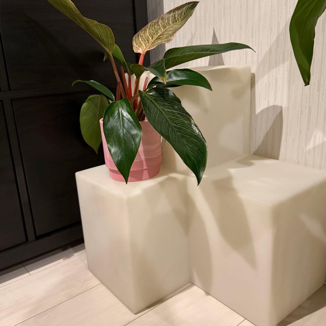 ヴィンテージライト