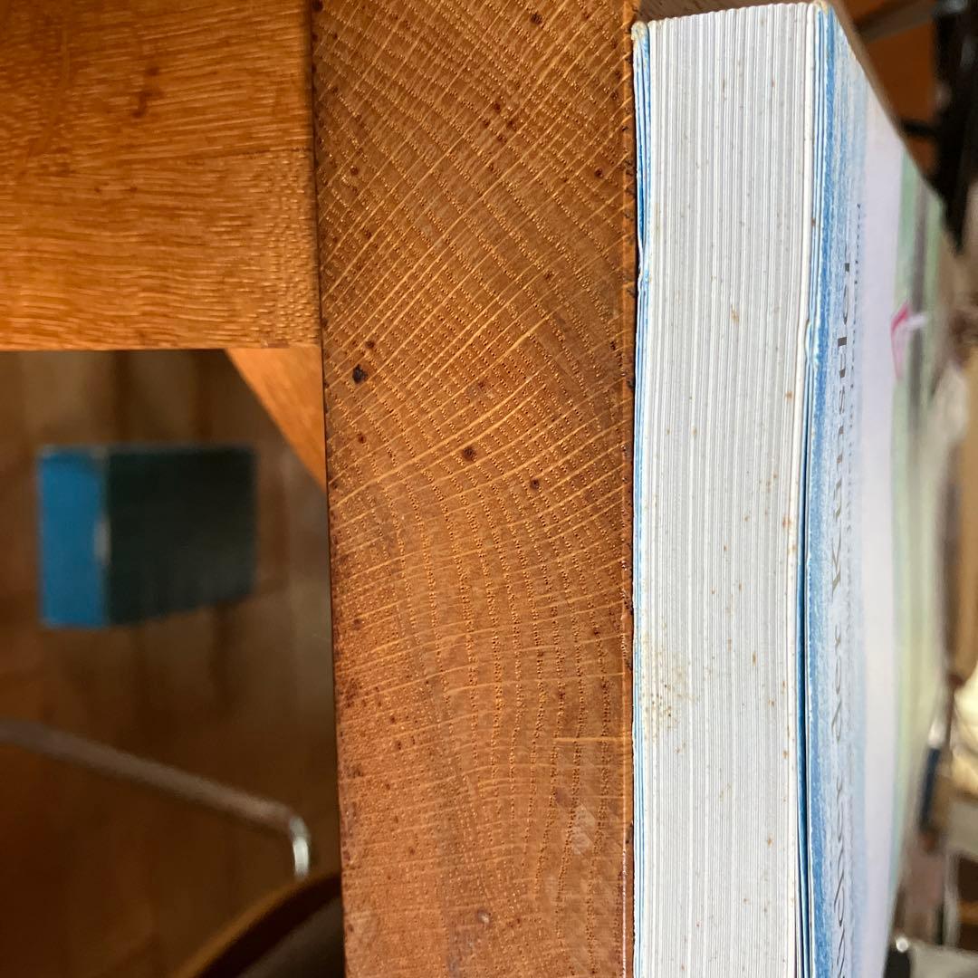 希少本　D i e Bucher der kunstler