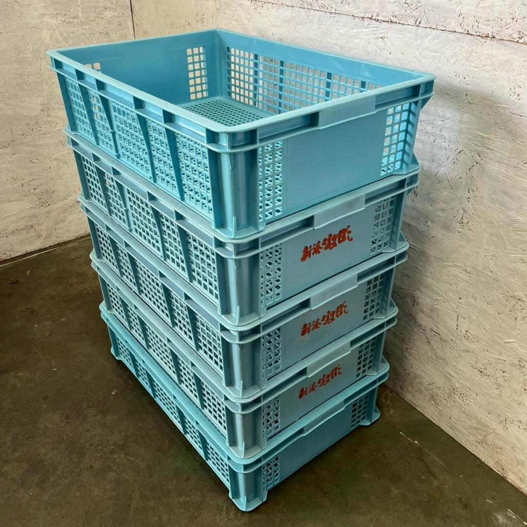 【サンコー】 三甲 サンテナー B#48 5個 セット まとめ ② A0854