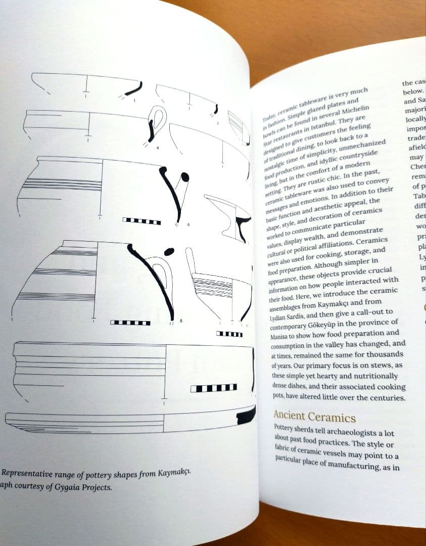 英語　トルコの食の伝統に関する本 Sofra