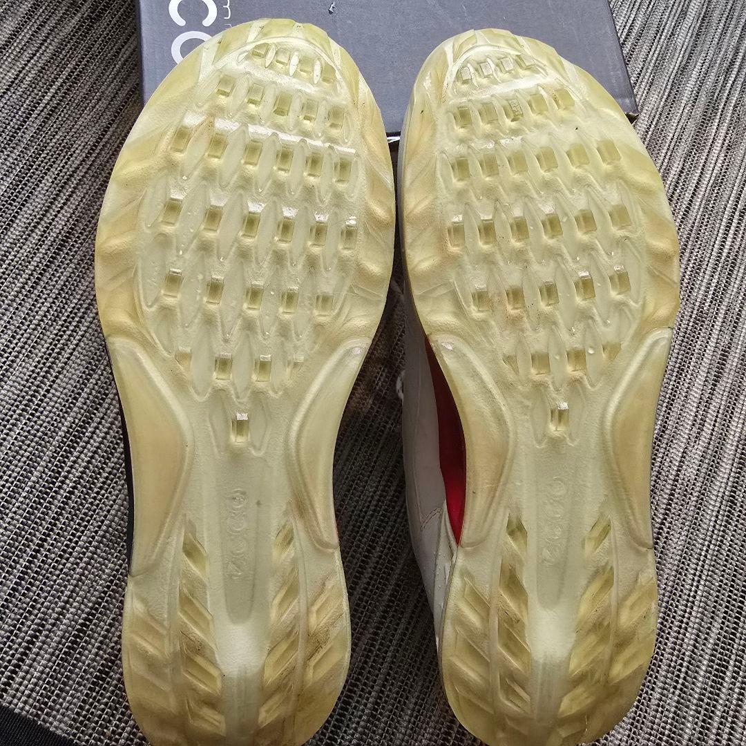 【コース未使用】ECCO GOLF BIOM C4 ゴアテックスゴルフシューズ