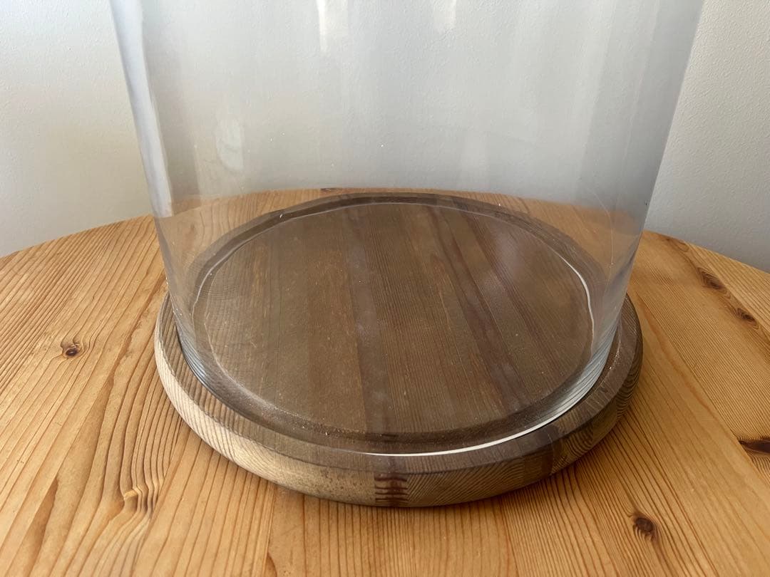 ガラスドーム ダルトン DULTON M