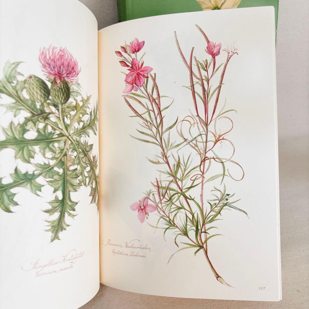 繊細なタッチの植物画 2冊セット Elsa Felsko 1960年