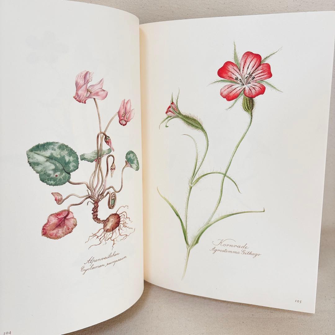 繊細なタッチの植物画 2冊セット Elsa Felsko 1960年