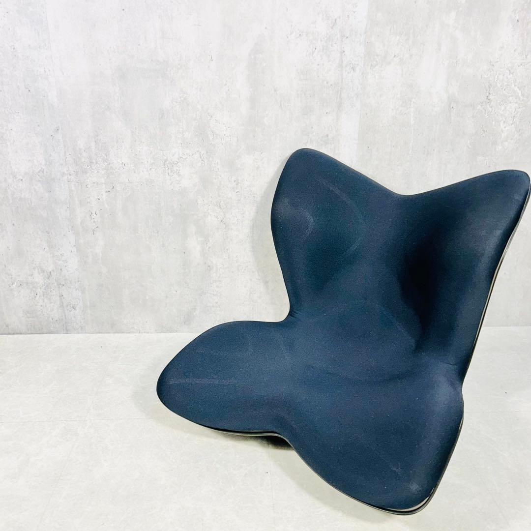 MTG スタイルプレミアム 骨盤 座椅子 姿勢 Style PREMIUM