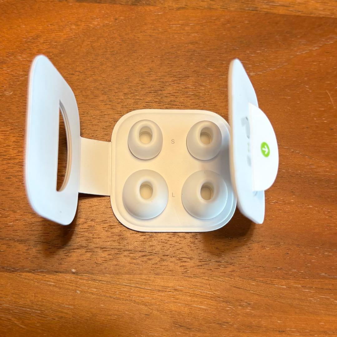 AirPods Pro 第1世代　本体　ワイヤレスイヤホン　Apple