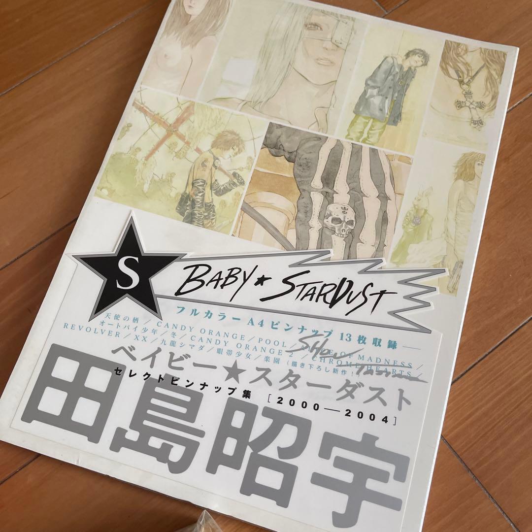 マダラカラーズ・光速ガールズ・ベイビー★スターダスト 3冊セット 田島昭宇画集