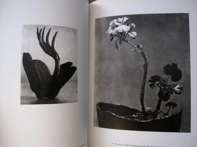 TINA MODOTTI Photographs　ティナ・モドッティ