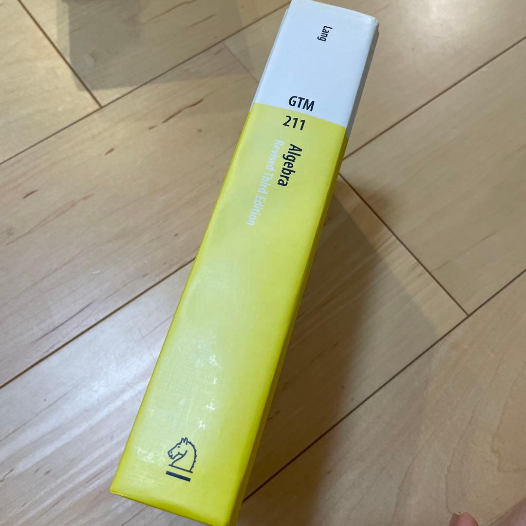 【美品】洋書　Serge Lang Algebra