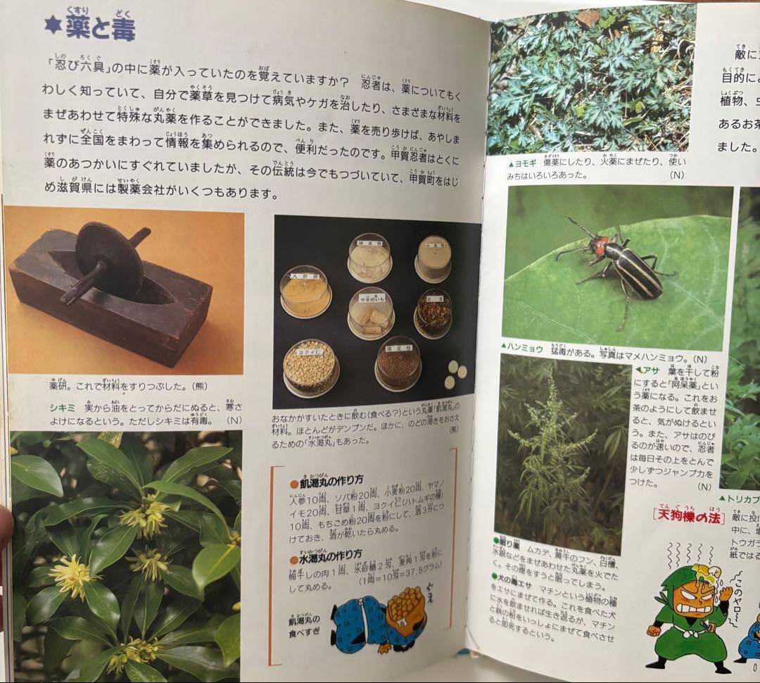 乱太郎の忍者の世界