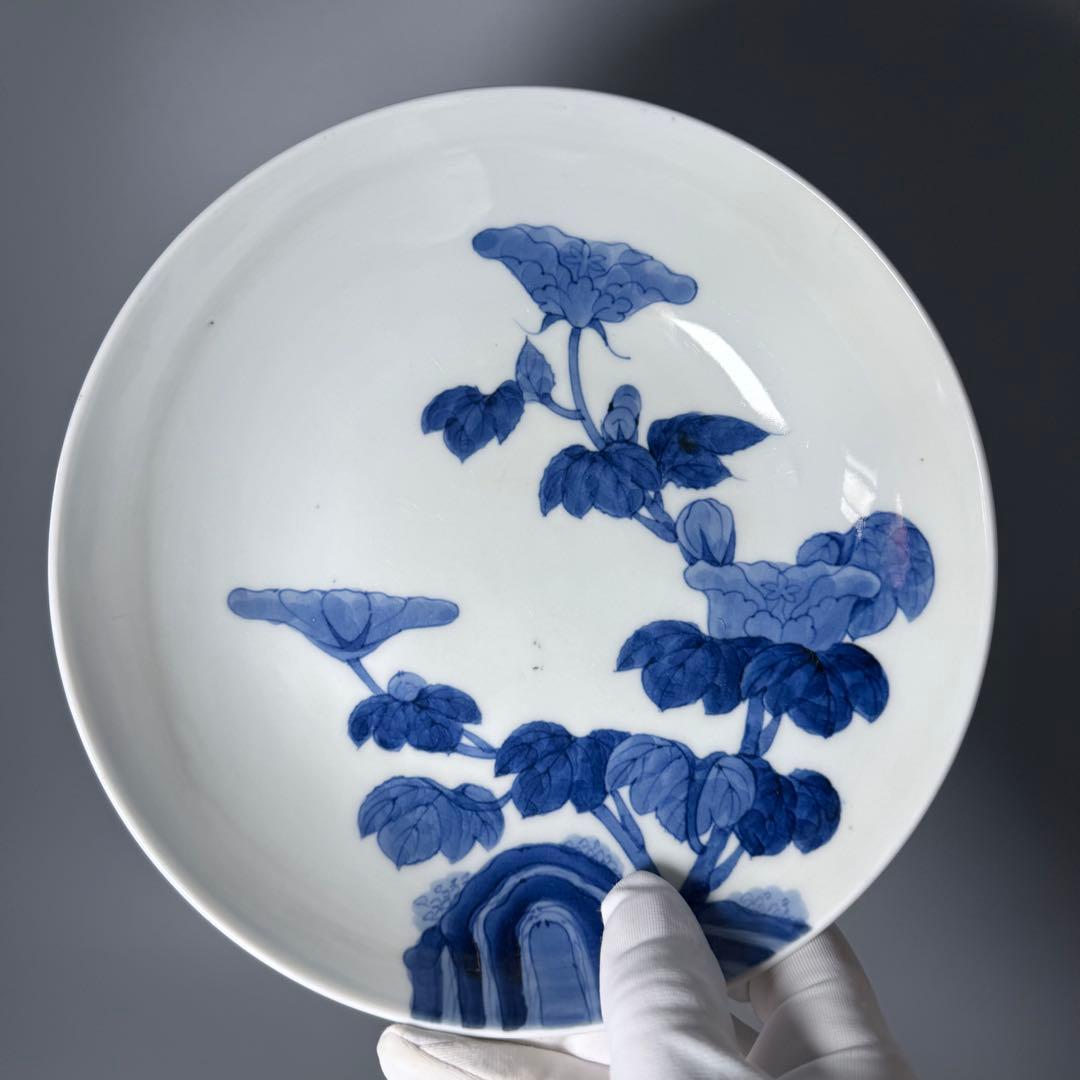 後期鍋島　染付芙蓉文中皿　六客　江戸後期〜明治初期　同手図録掲載品　20.7cm