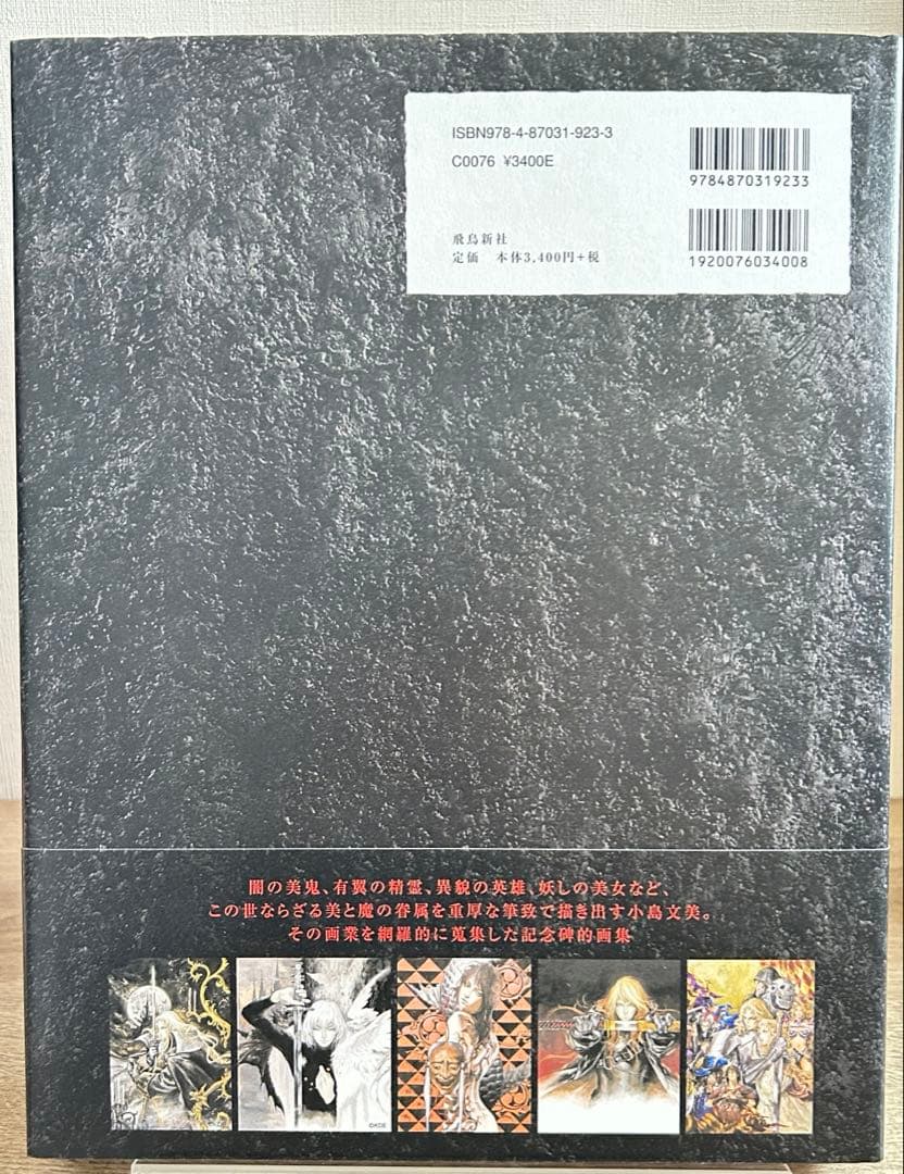 小島文美画集　Santa Lilio Sangre　緋いユリ