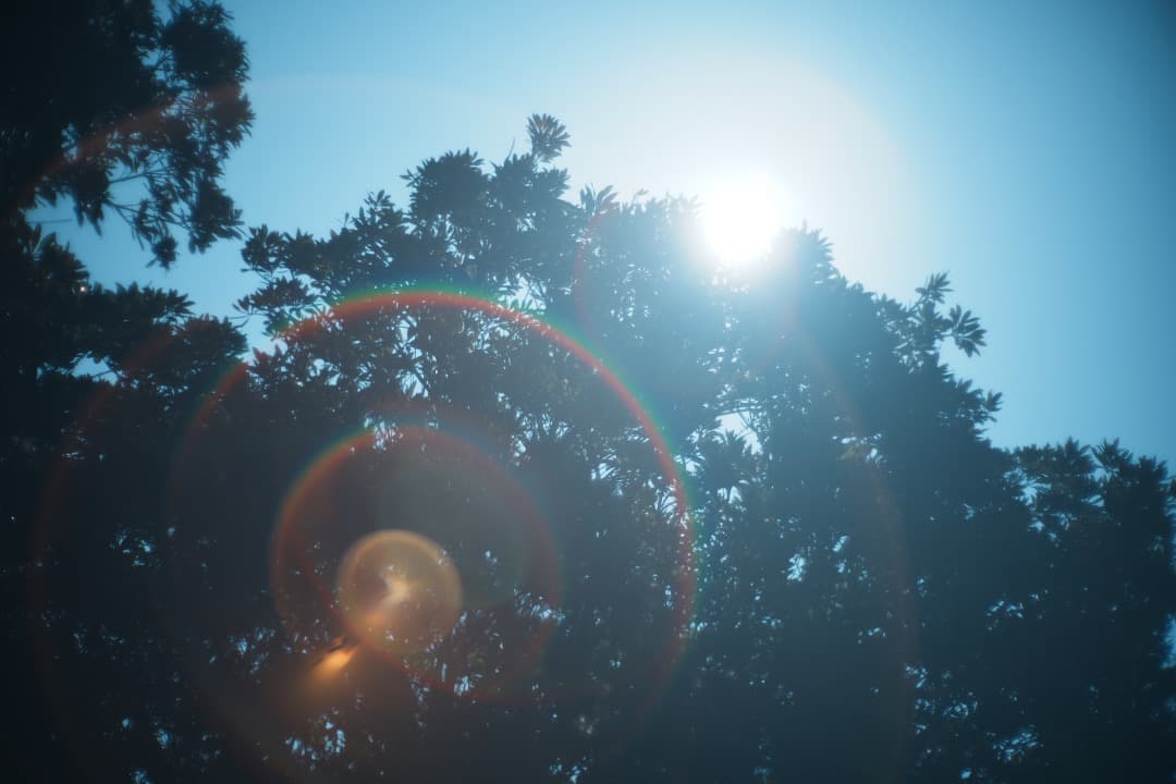 【美品】Canon 50mm F1.2 L39 キャノン ライカL 904