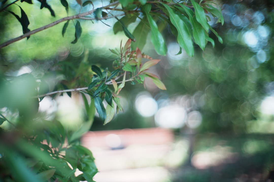 【美品】Canon 50mm F1.2 L39 キャノン ライカL 904