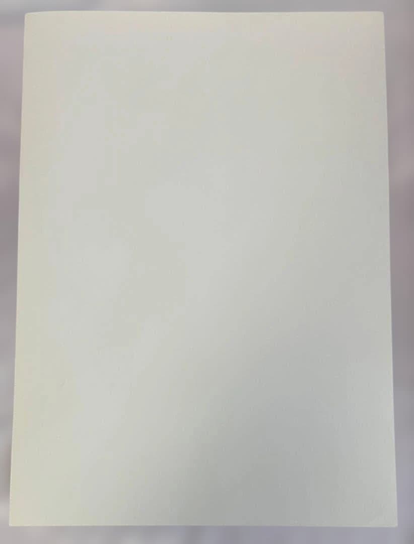 【未使用・送料込み】広瀬すず チャルメラ A3 ポスター 2種 チャルメニャ!