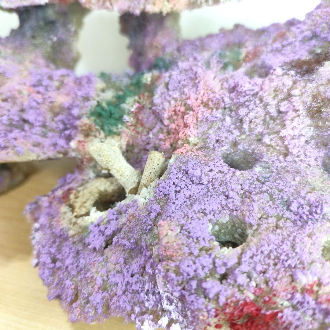 ✐プラグ穴付き 新品 人工ライブロック 60cm海水水槽用 レプリカ 安い3