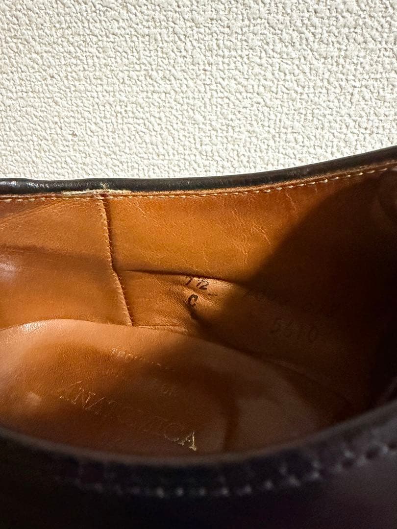 超希少！ALDEN Anatomica 5610 シェルコードバン