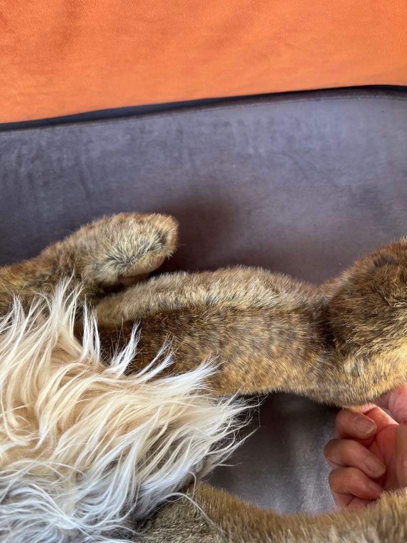 再値下げ　チャーリーベアーズ　テディベア　50cm くらい　足が動きます　作家