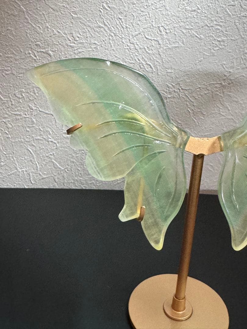 レアカラー ◎高品質 中国産フローライト バタフライウィング