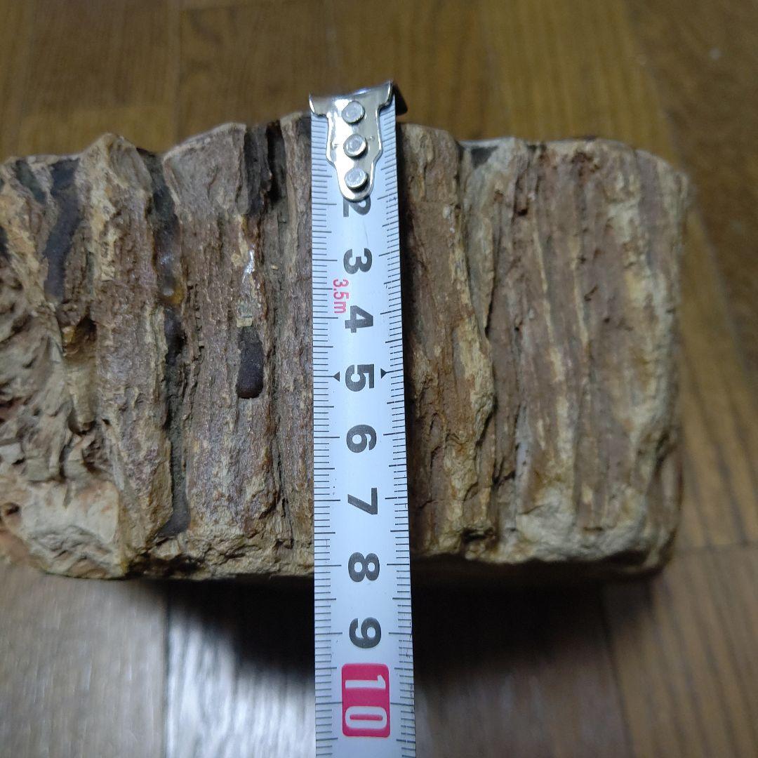 値下げ珪化木の置物　検木の化石　オブジェクトインテリアペトリファイドウッド