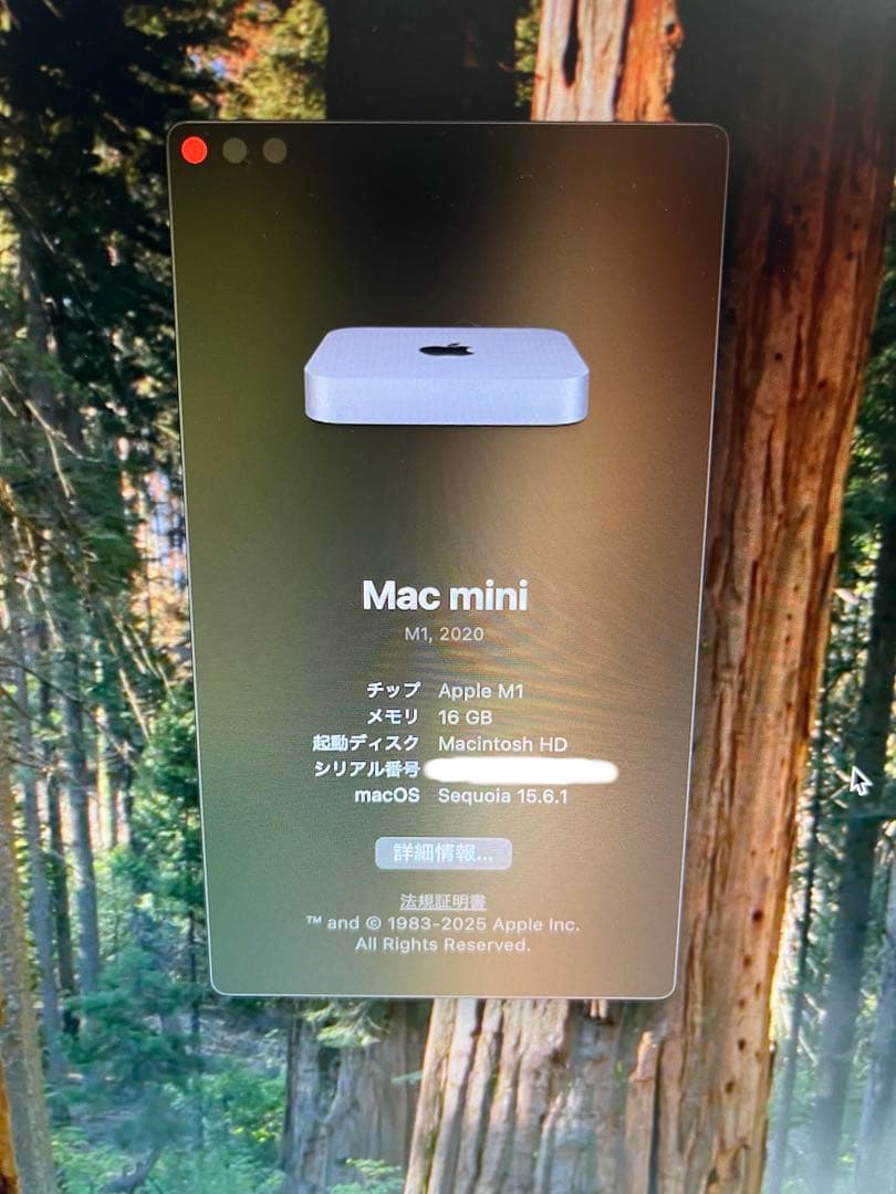 Macデスクトップ Mac mini 2020 M1 16gb 512gb
