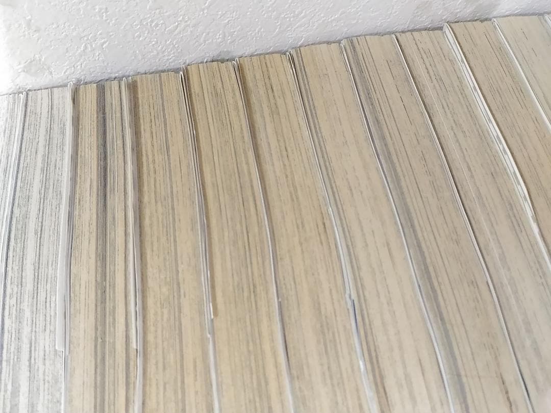 狂四郎2030全20巻セット 徳弘正也 ジャンプコミックスデラックスB6