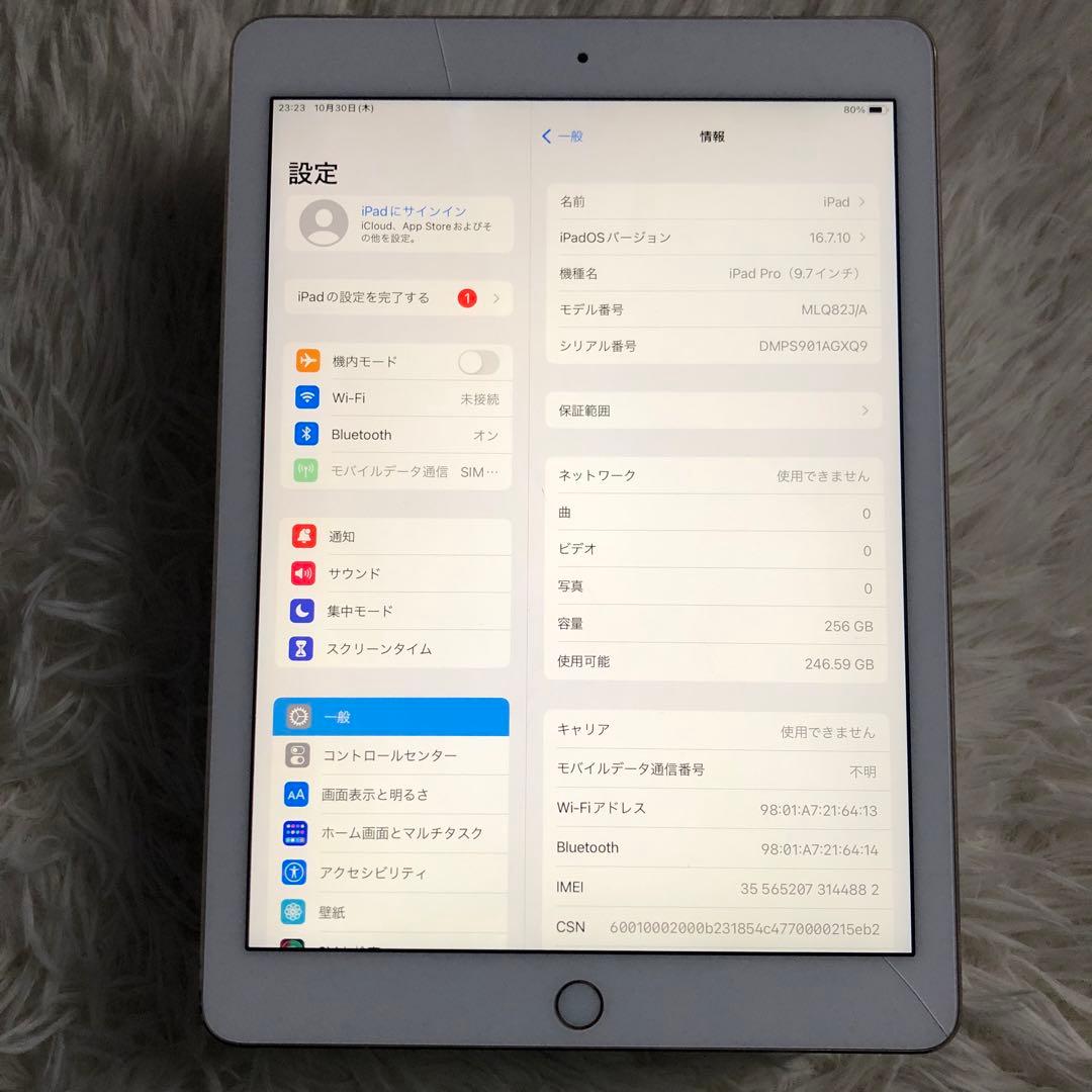 【完動品】iPad Pro 9.7 256GB SIMフリー 【すぐ発送】
