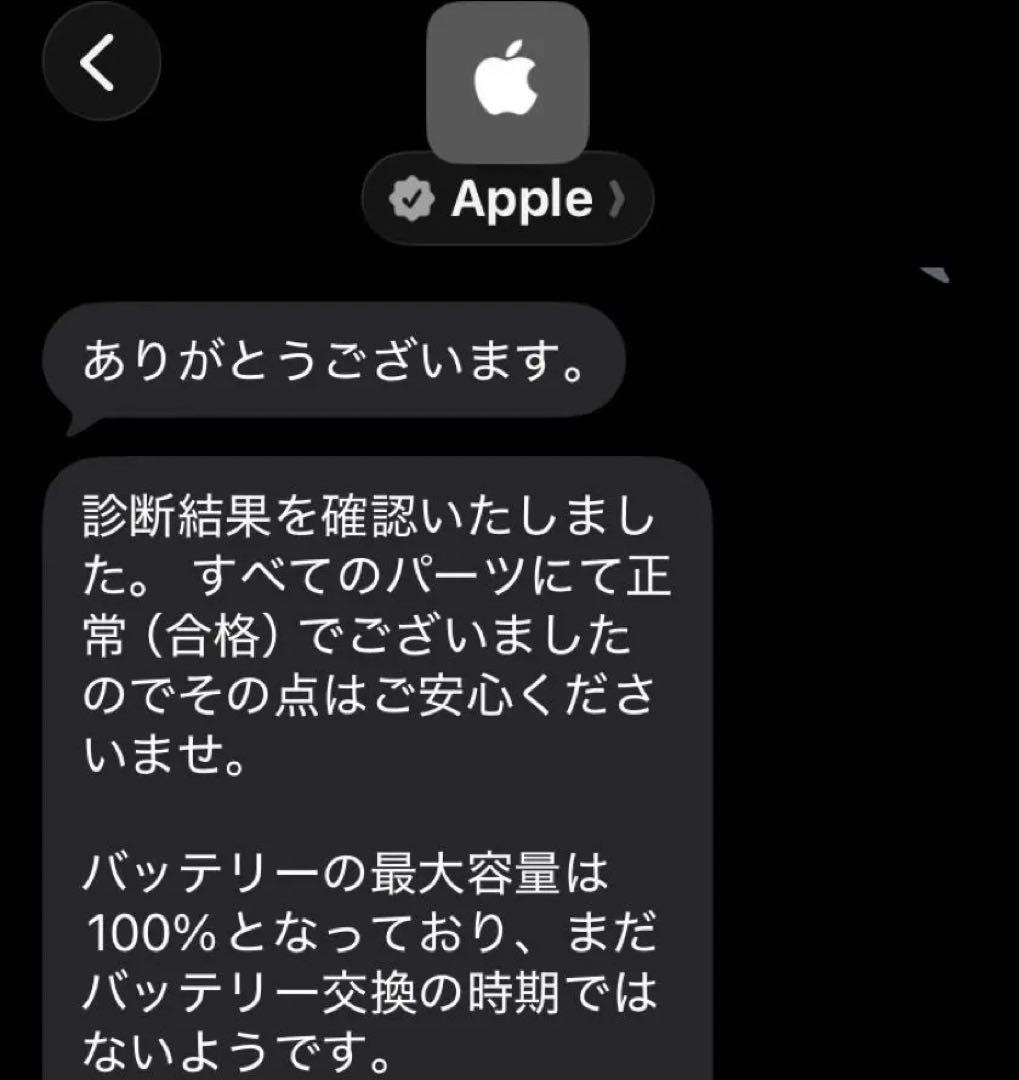 iPod touch 第7世代 32G バッテリー最大容量100%
