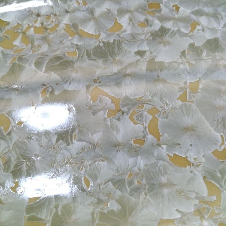 京都陶あん花結晶大皿