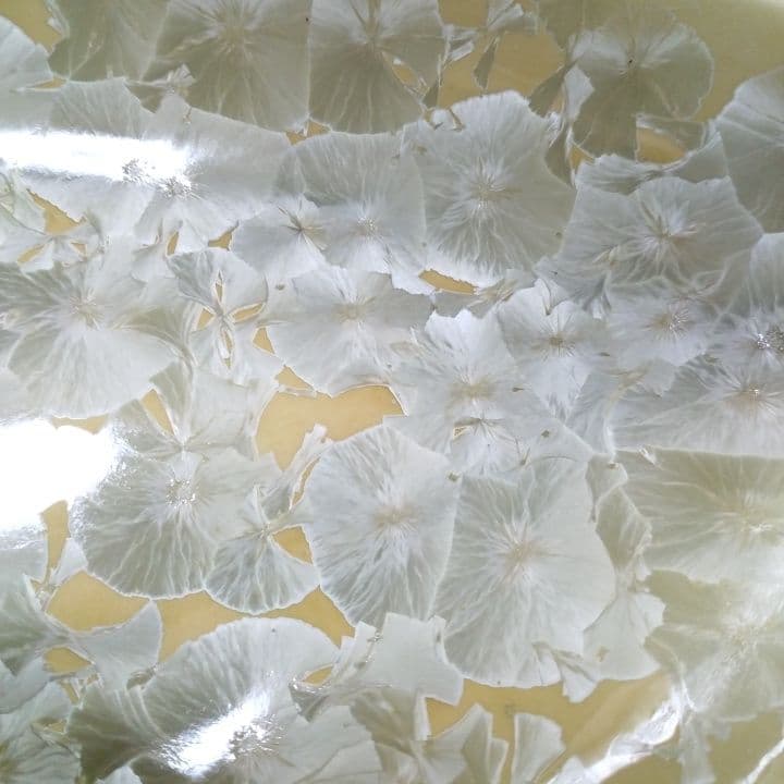 京都陶あん花結晶大皿