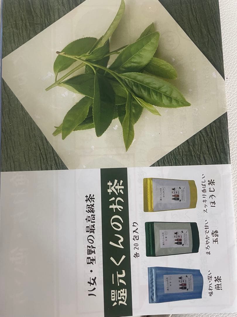 還元くん TEA-BOTTLE 陶器製