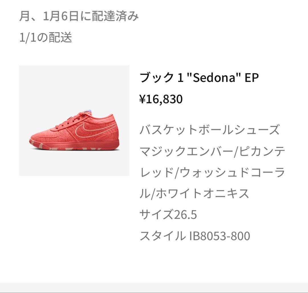 Nike ブック 1 \"Sedona\" EP 26.5cm
