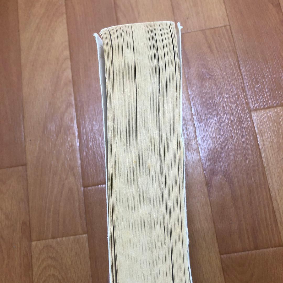 Women Who Run With The Wolves 狼と駈ける女たち