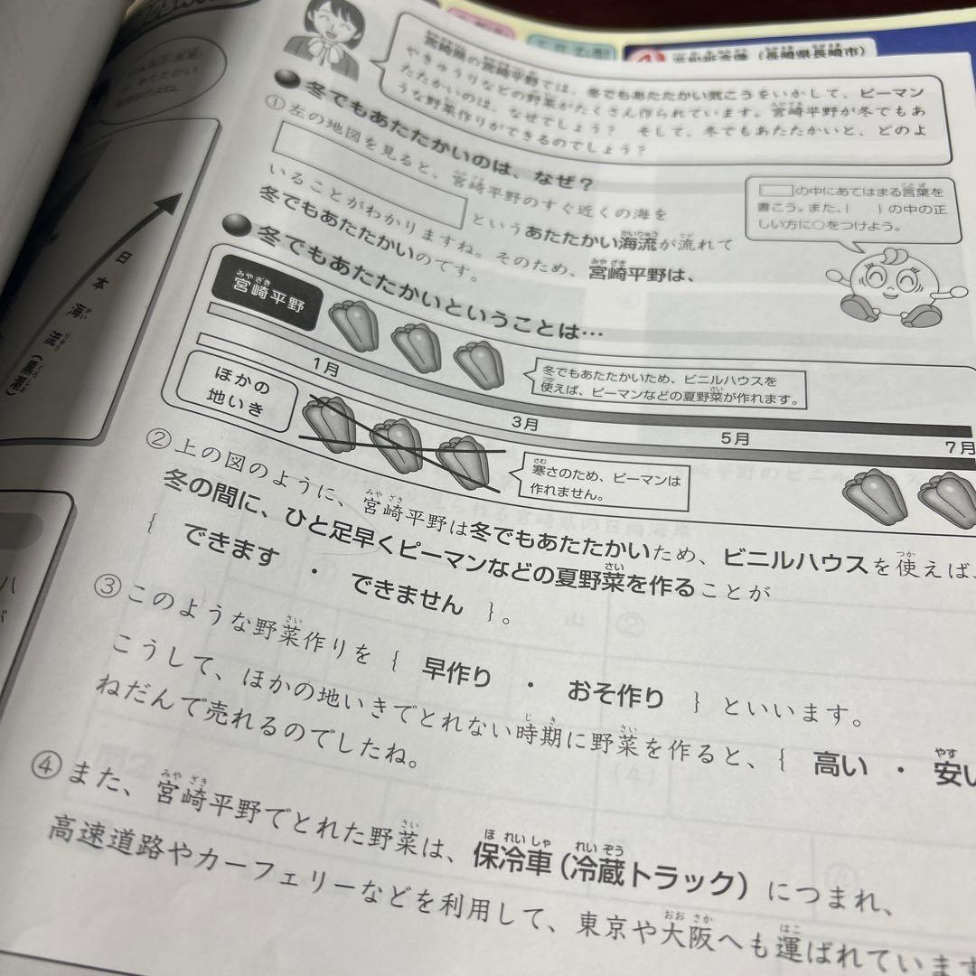 ㉓AA 超美品　SAPIX サピックス　3年　社会　一年分　ディリーサピックス