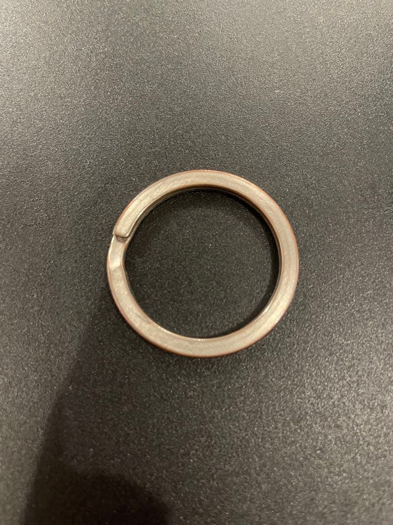 Rick Owens シルバー カラビナキーリング