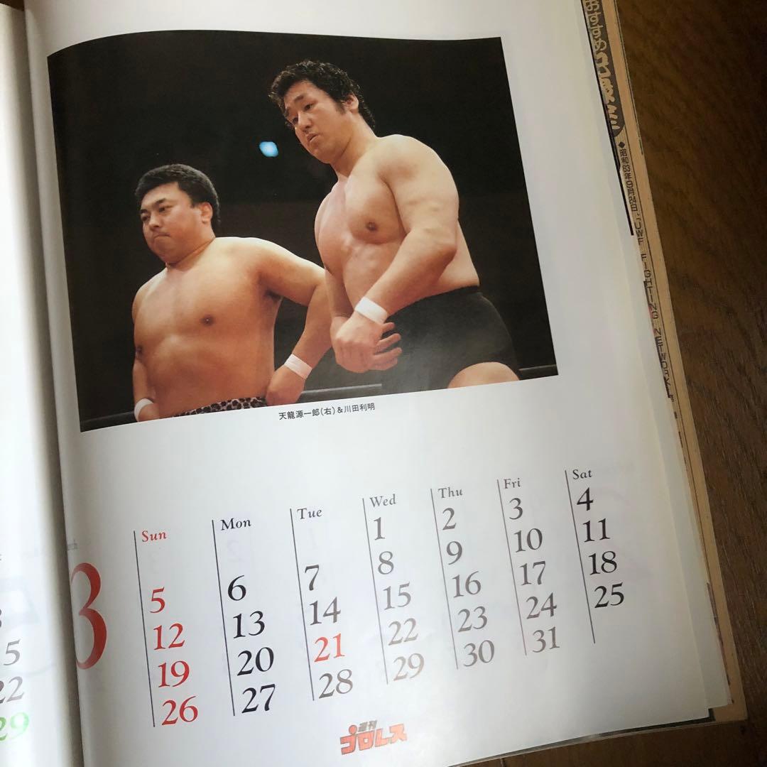 週間プロレス100冊　熱く激しくそして胡散臭い、プロレスがドラマだった時代の記録