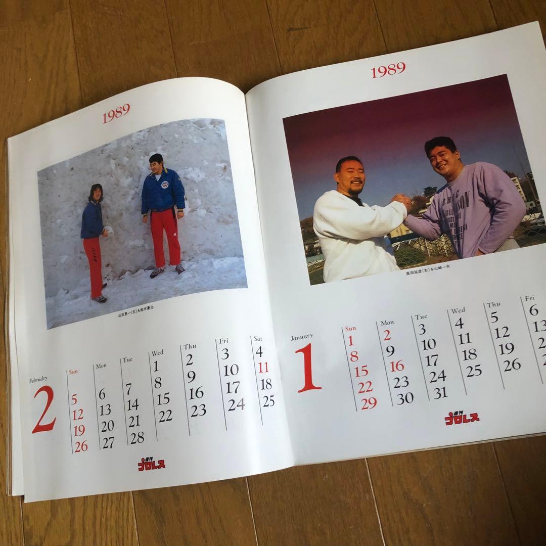 週間プロレス100冊　熱く激しくそして胡散臭い、プロレスがドラマだった時代の記録