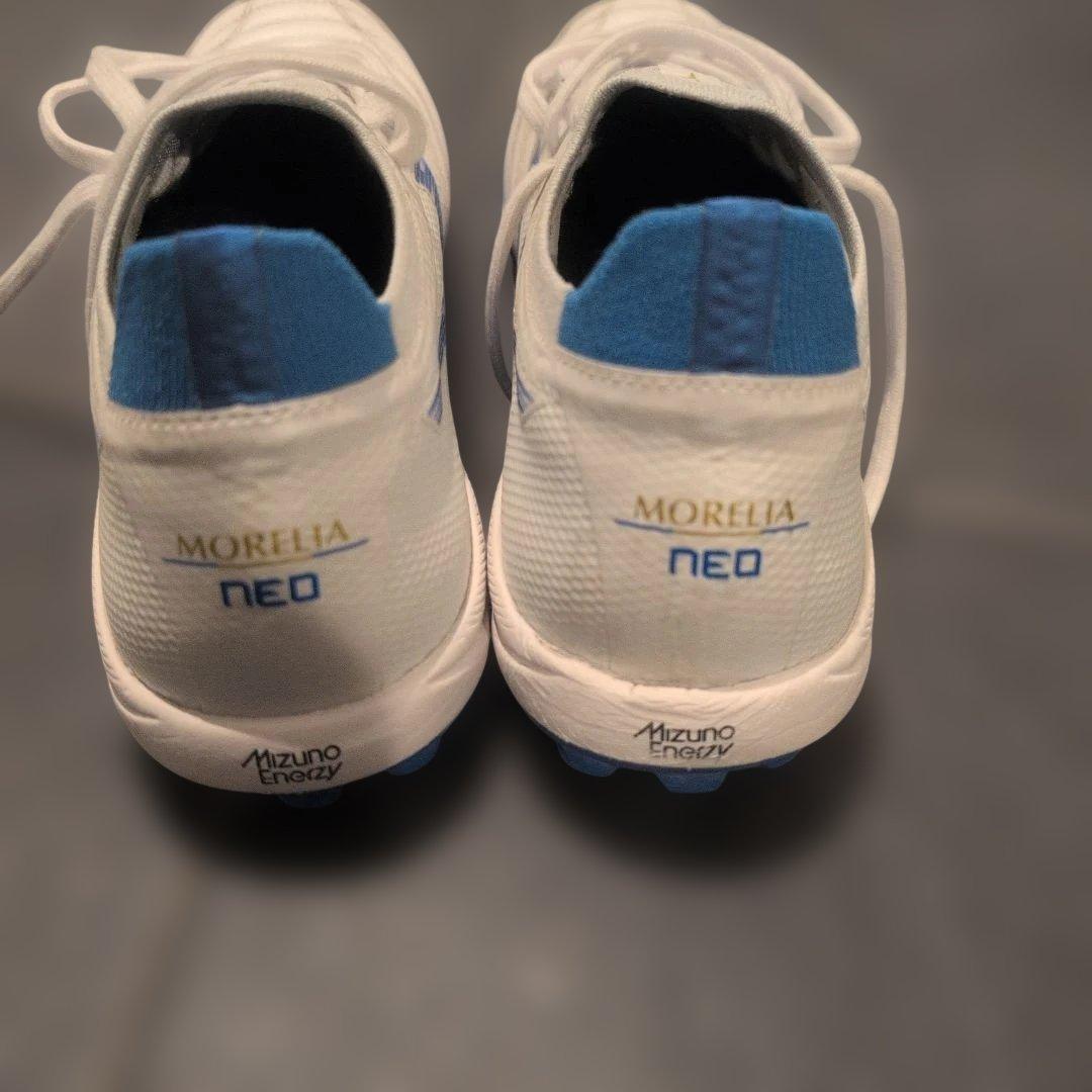 【今週末まで】モレリアネオsala β japan　TF 23cm