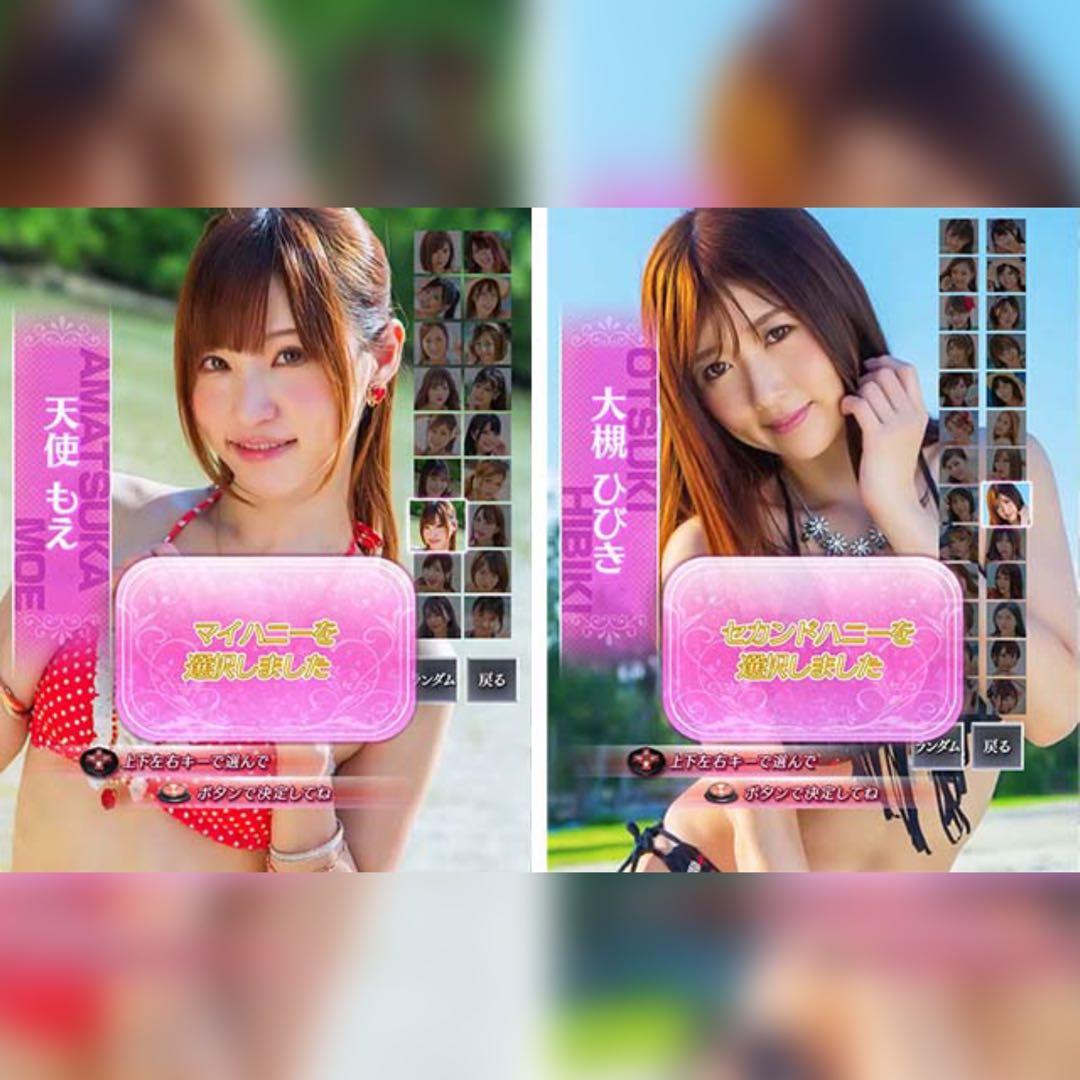 ジューシーハニーハーレム フルオート 循環仕様 家庭用電源