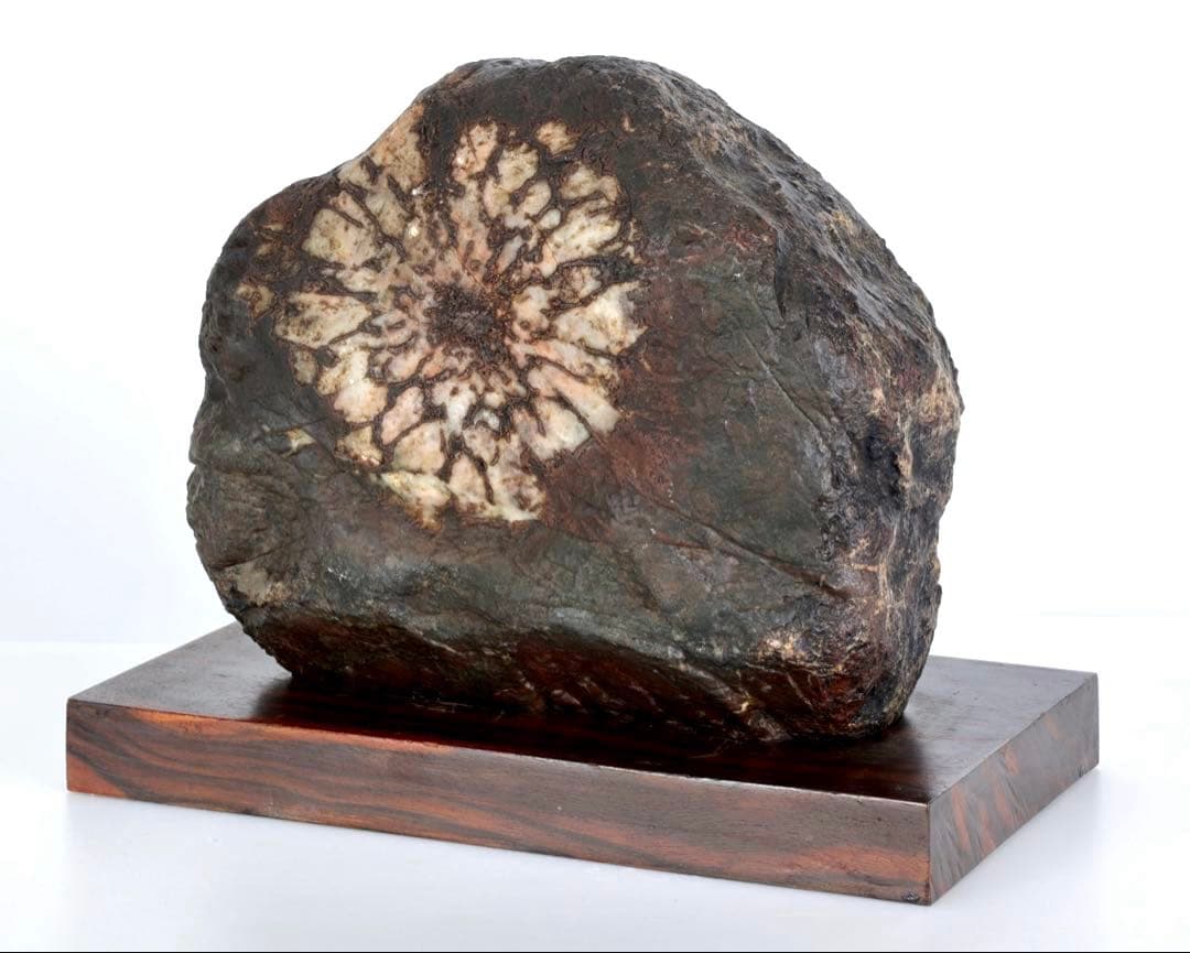 天然菊花石 大輪 台座付 大型8.5kg 鑑賞石 原石 水石 盆石 紋石 美石